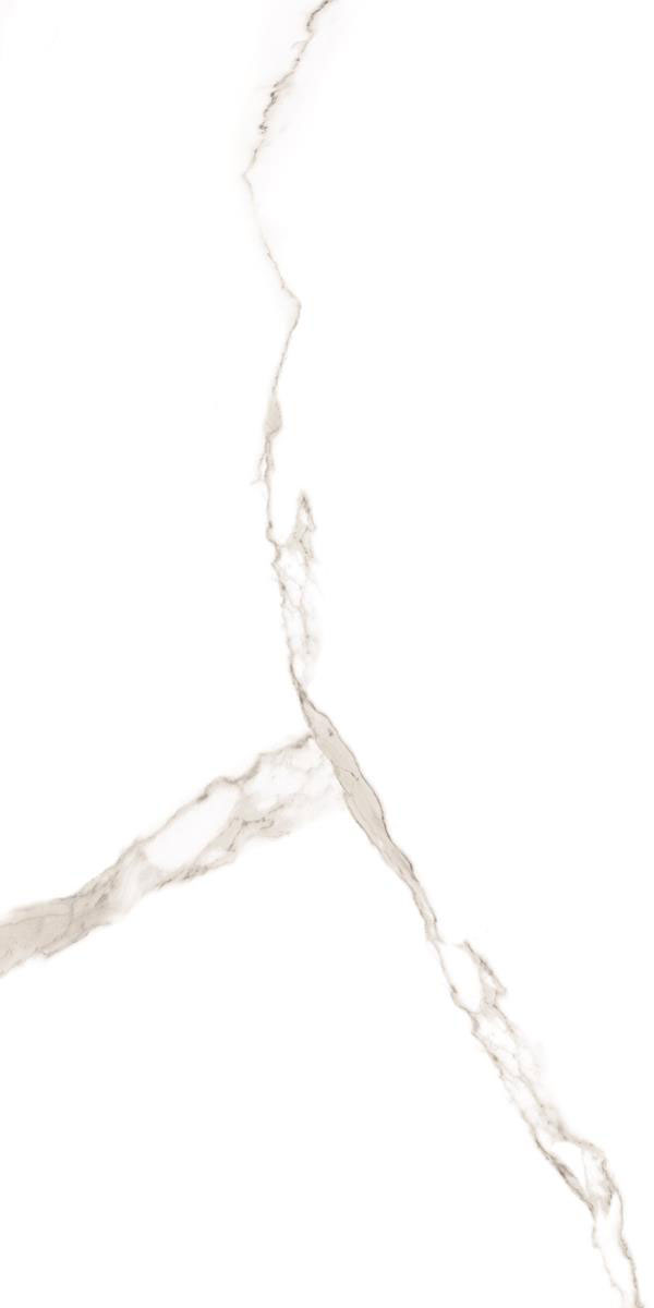 ELEGANT STATUARIO F4